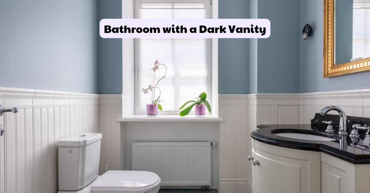 Bathroom with a Dark Vanity