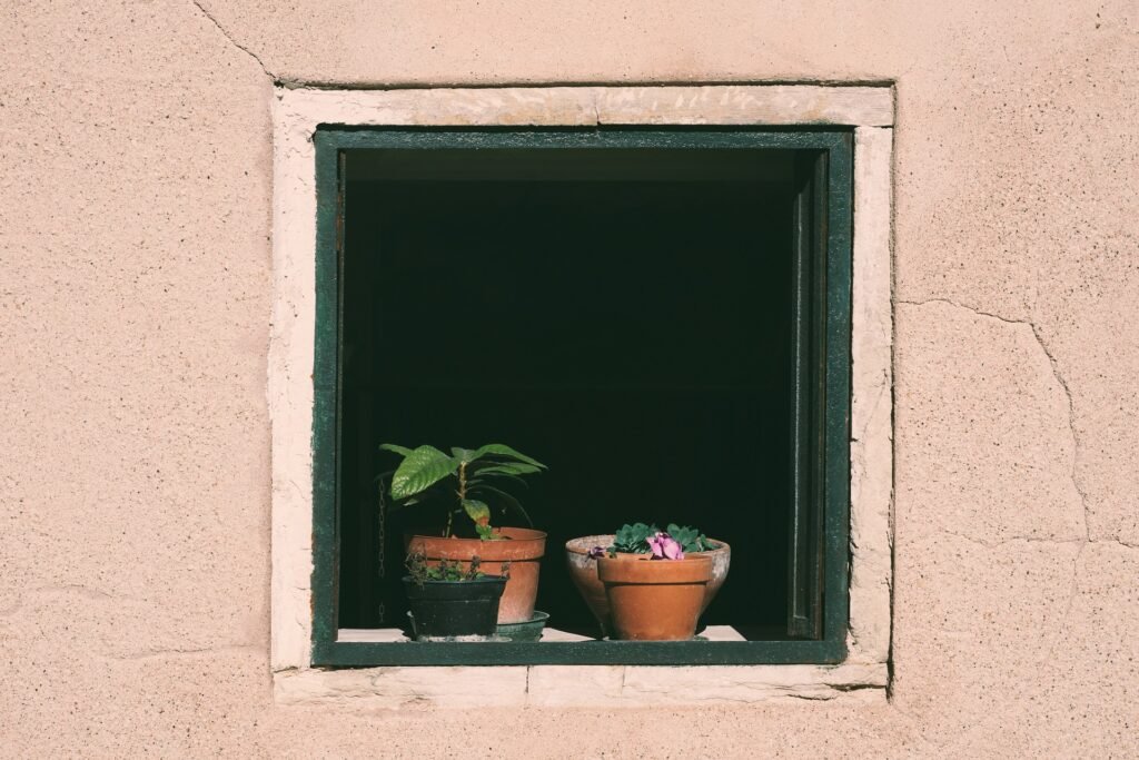 Think Out Of The Box With Creative Window Well Decoration Ideas window 7209119 1920