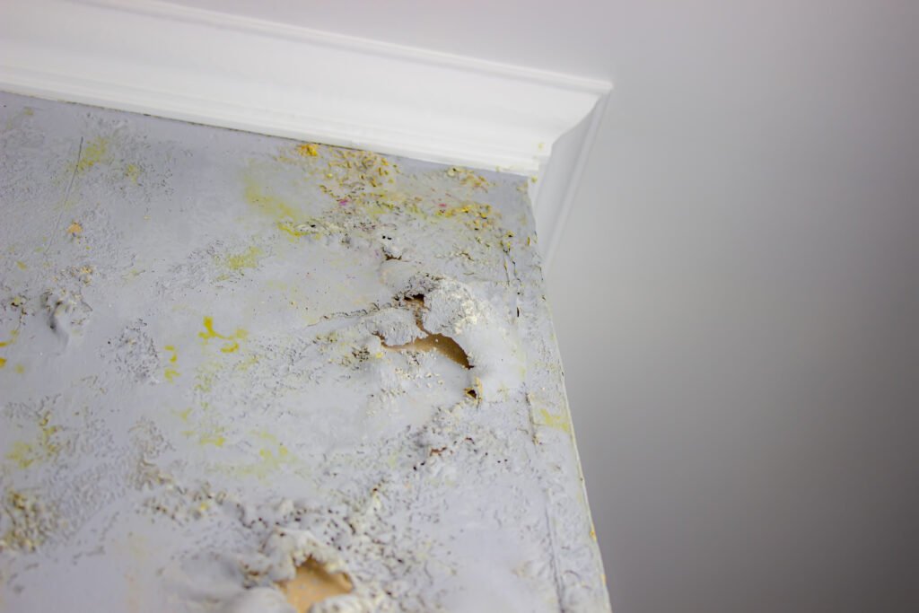 Bathroom Wall Molding Ideas: A Complete Makeover Guide black mold on the wall fungus on the wall after t 2023 11 27 05 20 25 utc